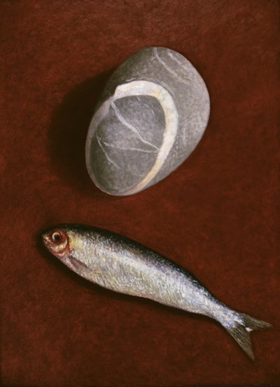 Pesce e forma di roccia, 1997 da Peter Davidson